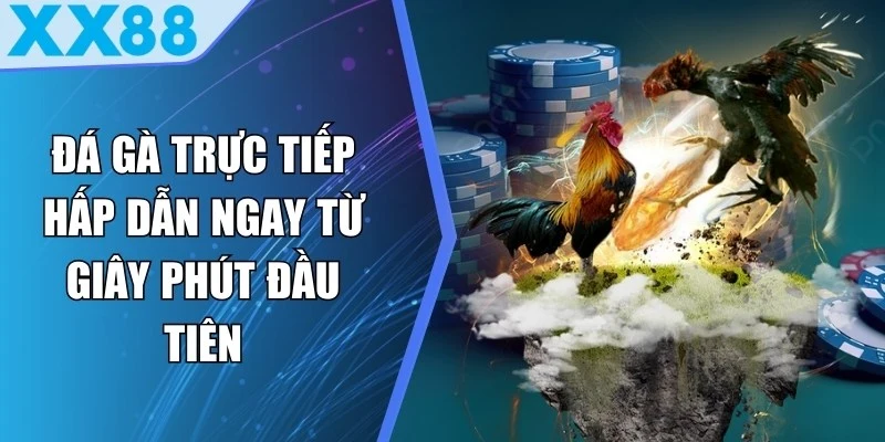 Đá Gà Trực Tiếp